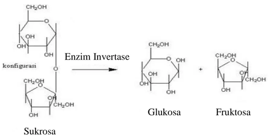 Gambar  2.    Reaksi  Pembentukan  HMF,  Asam  Levulinat,  dan  Asam  Format  dari   Monosakarida (Heksosa) dalam Suasana Asam (Achmadi, 1991) 