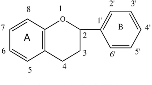 Gambar 1. Kerangka Inti Aglikon Senyawa Glikosida 