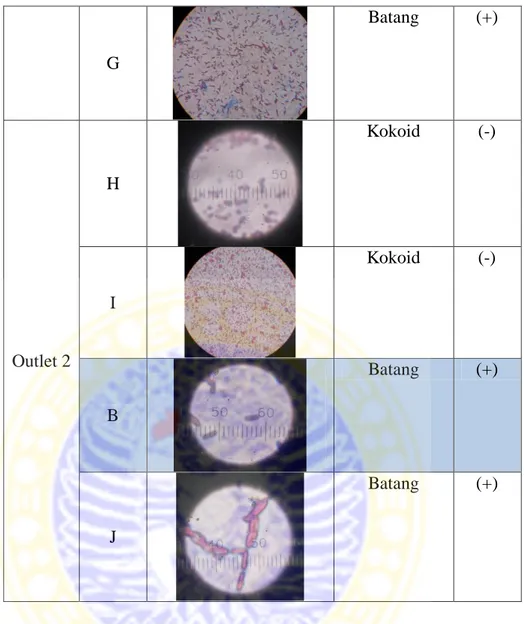 Tabel 3d. Karakteristik mikroskopik isolat bakteri heterotropik untuk sampel hari  ke-21 