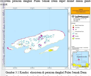 Gambar 3.1 Kondisi  ekosistem di perairan dangkal Pulau Semak Daun 