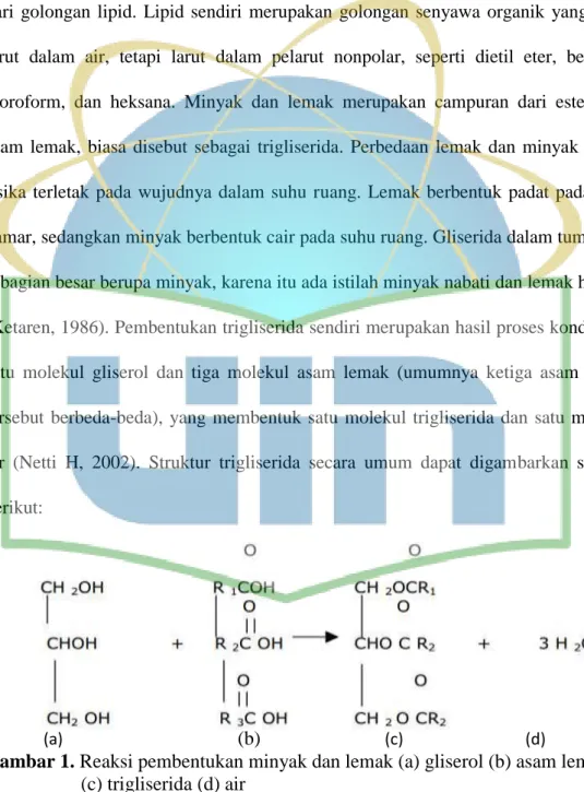 Gambar 1. Reaksi pembentukan minyak dan lemak (a) gliserol (b) asam lemak  (c) trigliserida (d) air 