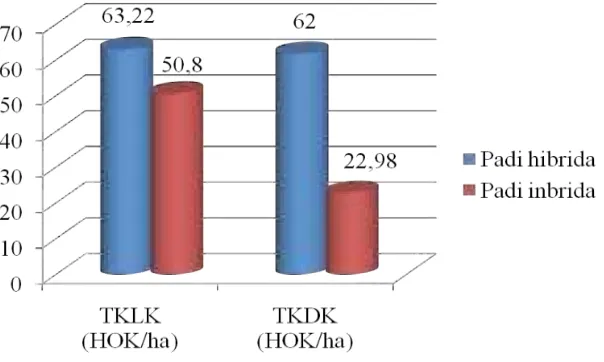 Gambar 4 dapat dilihat bahwa jumlah TKLK  Berdasarkan data yang tersaji dalam dan TKDK yang dibutuhkan dalam usahatani padi hibrida lebih besar dibandingkan dengan usahatani padi inbrida