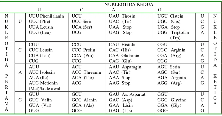 Tabel 2-1. Kode-kode genetik untuk macam-macam asam amino. 