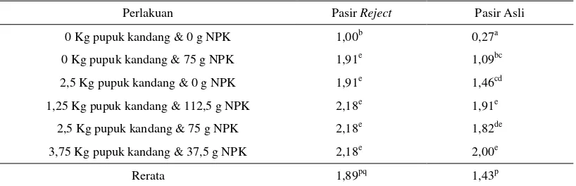 Tabel 6. Rerata jumlah tongkol tanaman jagung (dalam buah) berbagai kombinasi pupuk kandang dan pupuk NPK (15:15:15) pada pasir reject dan pasir asli 