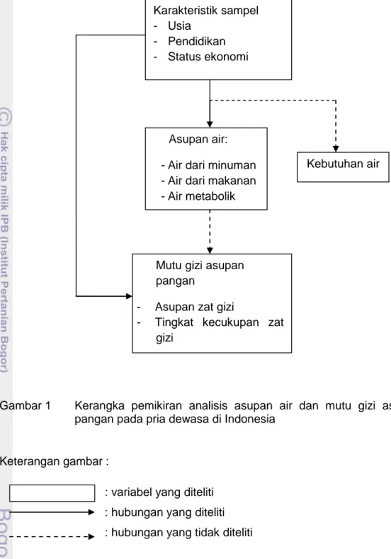 Gambar 1  Kerangka  pemikiran  analisis  asupan  air  dan  mutu  gizi  asupan  pangan pada pria dewasa di Indonesia 
