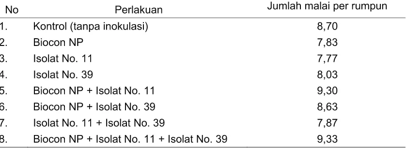 Tabel 4. Luas Daun Padi (Cm) Umur 30 HST 