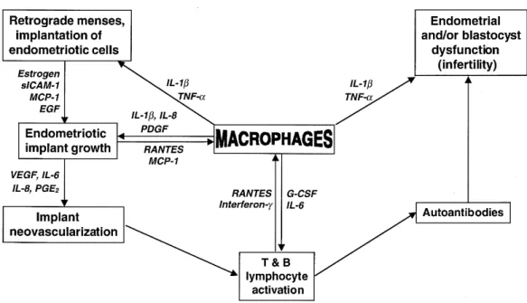 Gambar 1. Imunobiologi Endometriosis 32