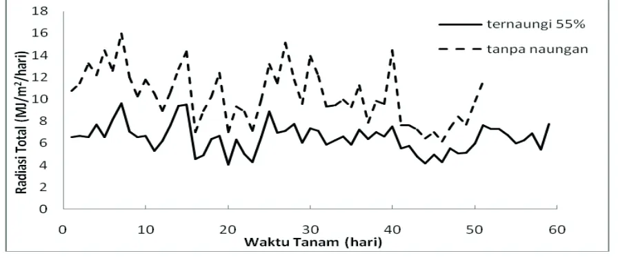 Gambar 1. Radiasi Surya Rata–rata (MJ m2 hari1)