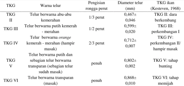 Tabel  2.  Hasil Tingkat  Kematangan  Gonad  Ikan  Betok  berdasarkan  Pengukuran Diameter Telur, Pengamatan Warna Telur dan Pengisian Rongga Perut.