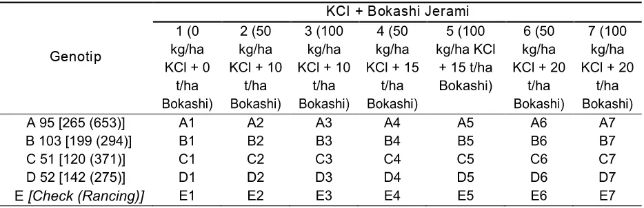 Tabel 1. Kombinasi Perlakuan Genotip, Bokashi Jerami dan KCl