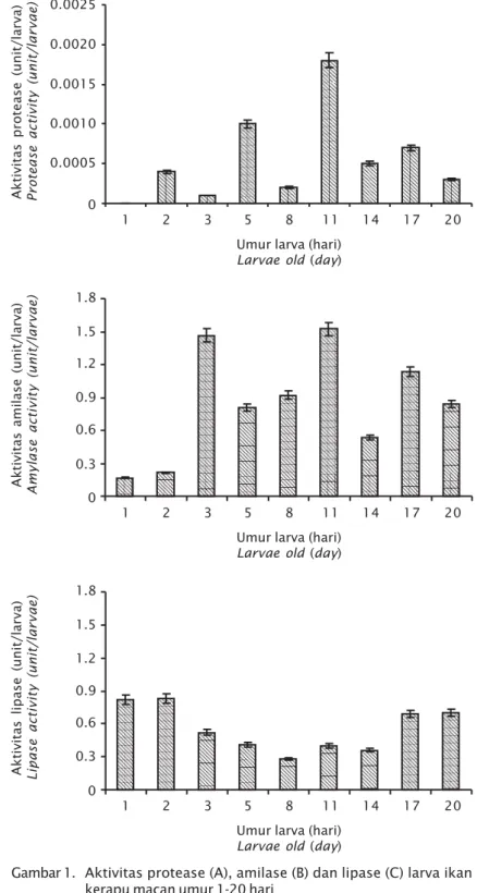 Gambar 1. Aktivitas protease (A), amilase (B) dan lipase (C) larva ikan kerapu macan umur 1-20 hari