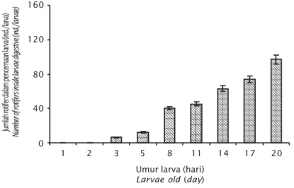 Gambar 2. Jumlah rotifer dalam saluran pencernaan larva ikan kerapu macan umur 1-20 hari