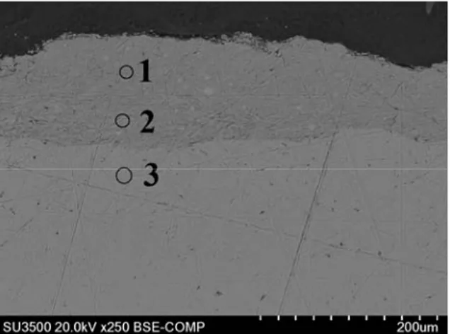 Gambar 1. Citra SEM dari penampang lintang  coating Fe-25Al di atas baja karbon rendah 