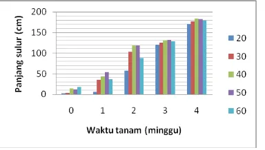 Gambar 4.  Pertumbuhan Diameter Sulur Uwi 