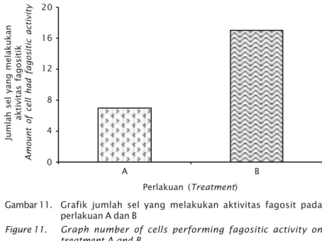 Figure 11. Graph number of cells performing fagositic activity on treatment A and B