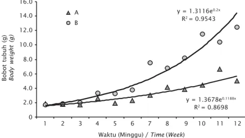Gambar 6. Grafik pertumbuhan ikan balashark pada perlakuan A dan B Figure 6. Growth of Balashark fish  on treatment of A and B