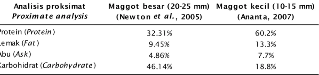 Tabel 3. Analisis proksimat maggot ukuran besar (20-30 hari) dan maggot kecil (5-6 hari) Table 3