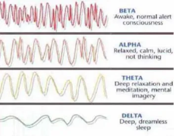 Gambar 10: Menurut para peneliti gelombang otak (brainwaves), sejalan dengan intensitas  penggunaan otak, dari keadaan sadar penuh sampai dalam kondisi yang sangat relaks dan tidur, 