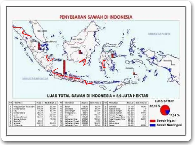 Gambar 3.12. Penyebaran lahan sawah di Indonesia yang berpeluang terkena dampak kenaikan tinggi muka air laut