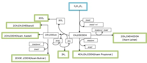 Gambar 2.2 Mekanisme reaksi pada proses acidogenesis dari glukosa dalam pembentukan volatile (Yusoff.,dkk, 2010)