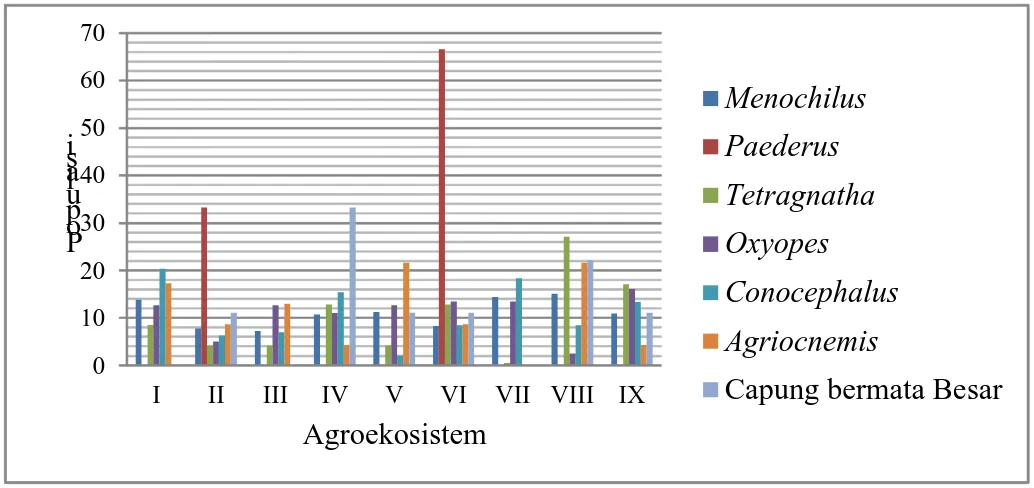 Gambar 10. Persentase Populasi Predator pada Agroekosistem Berbeda