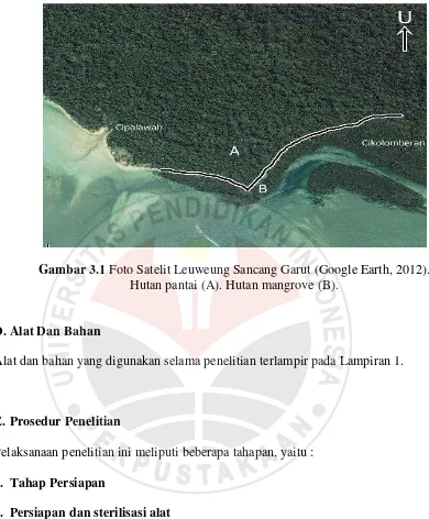 Gambar 3.1 Foto Satelit Leuweung Sancang Garut (Google Earth, 2012). 