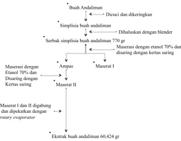 Tabel konversi antara hewan dengan manusia 