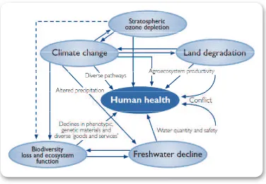 Figure 2.1 Relationship between Various Main Global Environmental Changes   which Inl uence Human Health, Including Climate Change (Mc Michael, 2003)