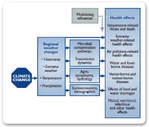 Figure 2.2 Pathways by which Climate Change Affect Human Health (Patz et al, 2000)