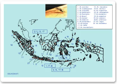 Figure 2.8 Distribution of Malaria Vector Species in Indonesia (Source: Ministry of Health, RI)