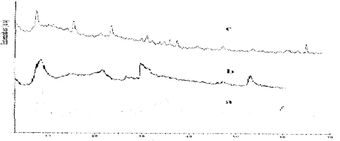 Gambar 6. Grafik 1/C1 lawan t untuk reaksi pertukaran anion sulfat oleh Crzo.tz'