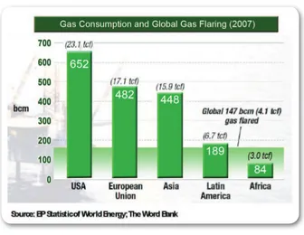 Figure 1.2 Gas Consumption and Global Gas Flaring (2007)