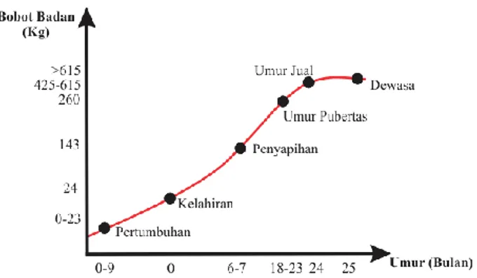 Grafik  pada  gambar  di  atas  menunjukkan  bahwa  rataan  pertambahan  berat  badan harian sapi Aceh jantan maksimum terdapat pada perlakuan A (0,46 ±0,030  kg),  diikuti  perlakuan  B  (0,39  ±0,012  kg),  perlakuan  C  (0,35  ±0,031  kg)  dan  perlakua