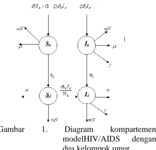 Gambar  1.  Diagram  kompartemen  modelHIV/AIDS  dengan  dua kelompok umur 
