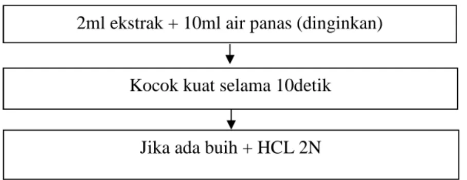 Gambar 3.4 Skema Uji Senyawa Saponin  (Safrudin, 2018) 