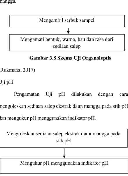 Gambar 3.8 Skema Uji Organoleptis  (Rukmana, 2017) 