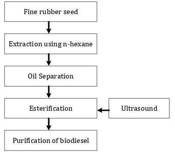 Fig 2. The procedure to make biodiesel using ultrasound 
