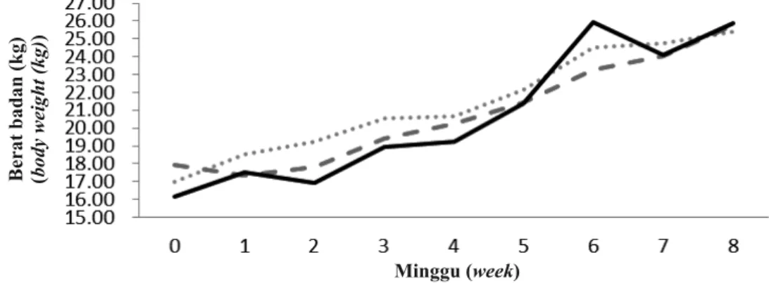 Gambar 2. Kinetika berat badan domba yang diberi pakan mengandung 50% pod kakao dalam   ransumnya (kinetics weight lambs fed containing 50% cocoa pod in the rations)