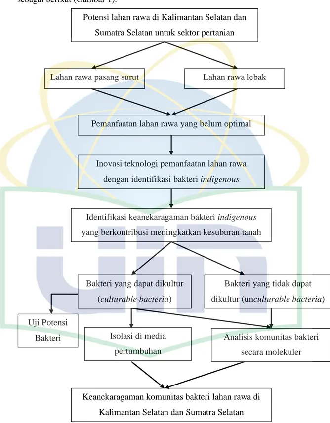 Gambar  1.  Kerangka  berpikir  penelitian  keanekaragaman  dan  potensi  bakteri  lahan  rawa  pasang  surut  Kalimantan  Selatan  (KS)  dan  lahan  rawa  lebak Sumatra Selatan (SS) 