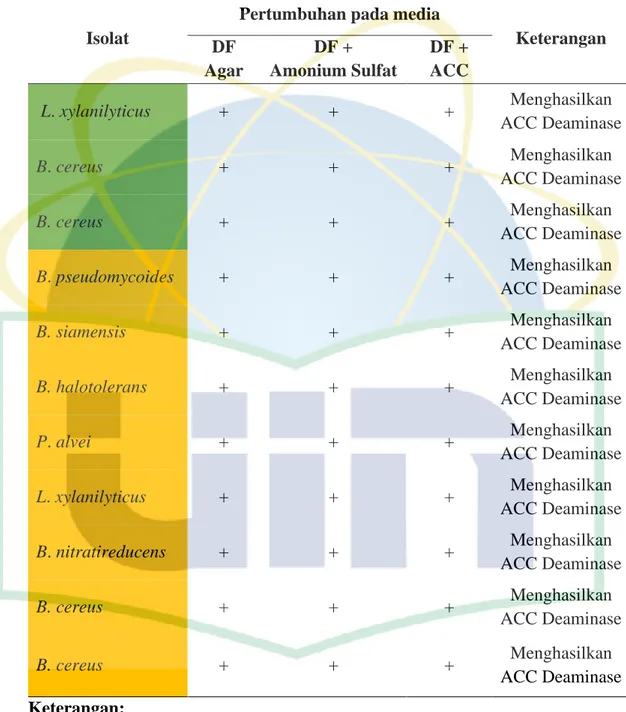Tabel 5. Skrining bakteri penghasil ACC Deaminase pada media DF dan DF yang  dimodifikasi