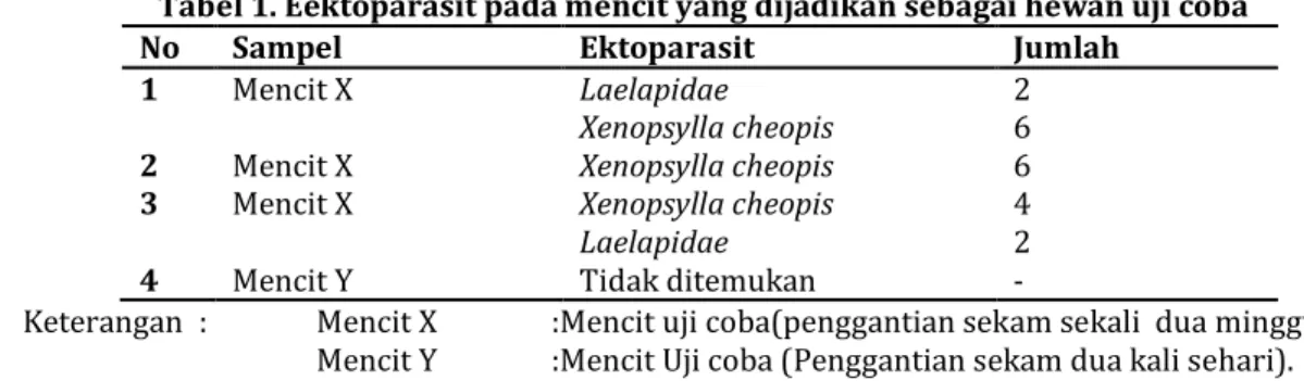 Tabel 1. Eektoparasit pada mencit yang dijadikan sebagai hewan uji coba 