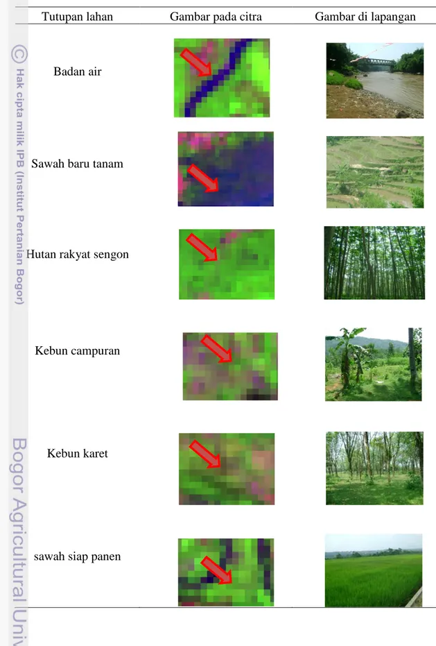Tabel 5  Kelas tutupan lahan di Kabupaten Bogor mengunakan Landsat 8  Tutupan lahan  Gambar pada citra  Gambar di lapangan 