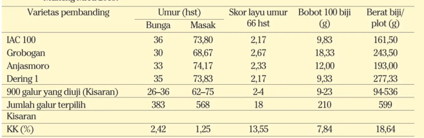 Gambar 9. Keragaan awal pertumbuhan tanaman umur 25 HST. KP Muneng  MK II 2015 .