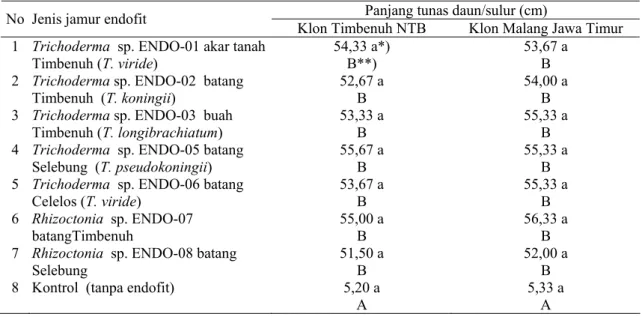 Tabel 4.   Rata-rata  panjang tunas daun/sulur vanili umur delapan  minggu setelah inokulasi patogen  sebagai interaksi  penggunaan beberapa jamur endofit  dan cara aplilkasinya 