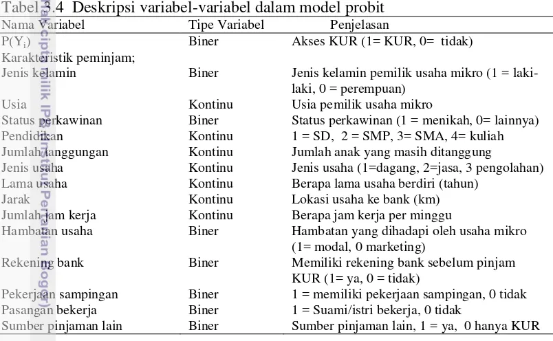Tabel 3.4  Deskripsi variabel-variabel dalam model probit 