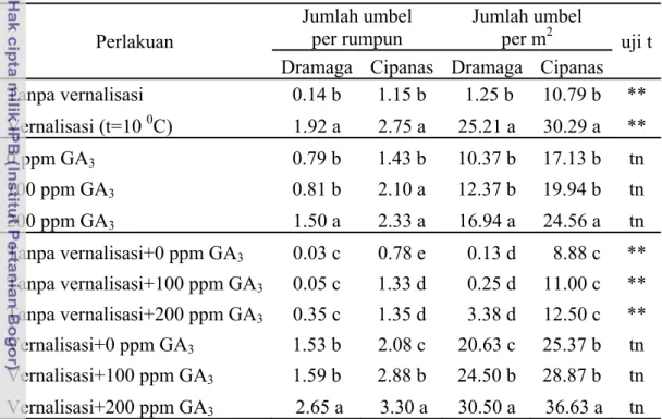 Tabel 2 Pengaruh vernalisasi dan GA 3  terhadap jumlah umbel per rumpun dan  jumlah umbel per m 2