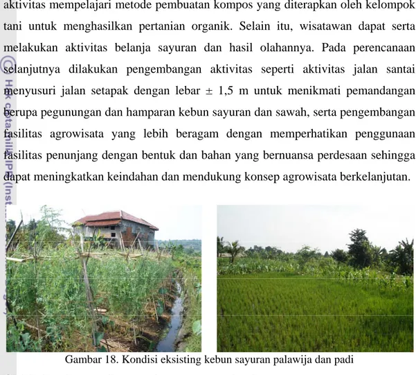 Gambar 18. Kondisi eksisting kebun sayuran palawija dan padi 