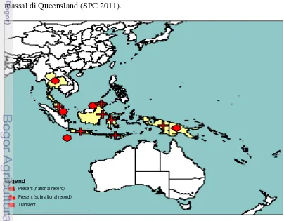 Gambar 1 Peta persebaran B. papayae di Asia Tenggara (EPPO 2011) 