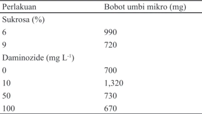 Tabel 3.  Pengaruh tunggal pemberian sukrosa dan  daminozide terhadap bobot umbi mikro pada 10  MSP