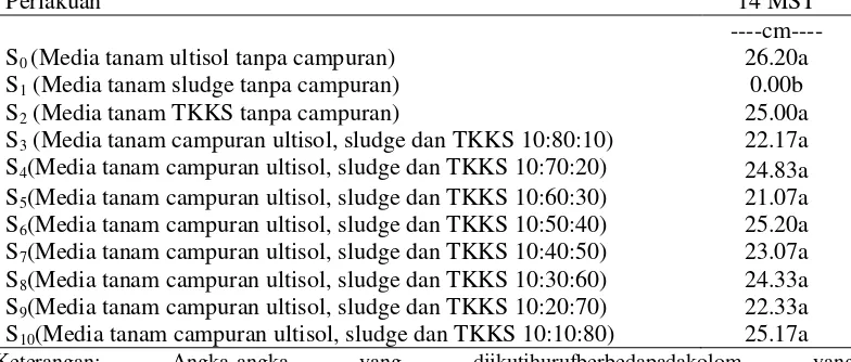 Tabel 1. Tinggi bibit kelapa sawit dengan berbagai  perlakuan media tanam 